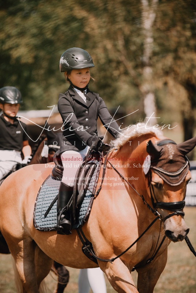 DSC_6116 | Pferde- und Turnierfotografie in Westsachsen. Pferdeportraits, Auftragszeichnungen und intuitive Kunst.