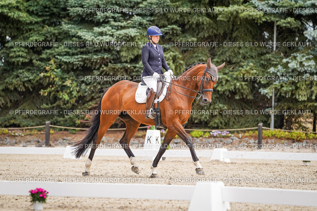 DSC03198 | Pferdegrafie