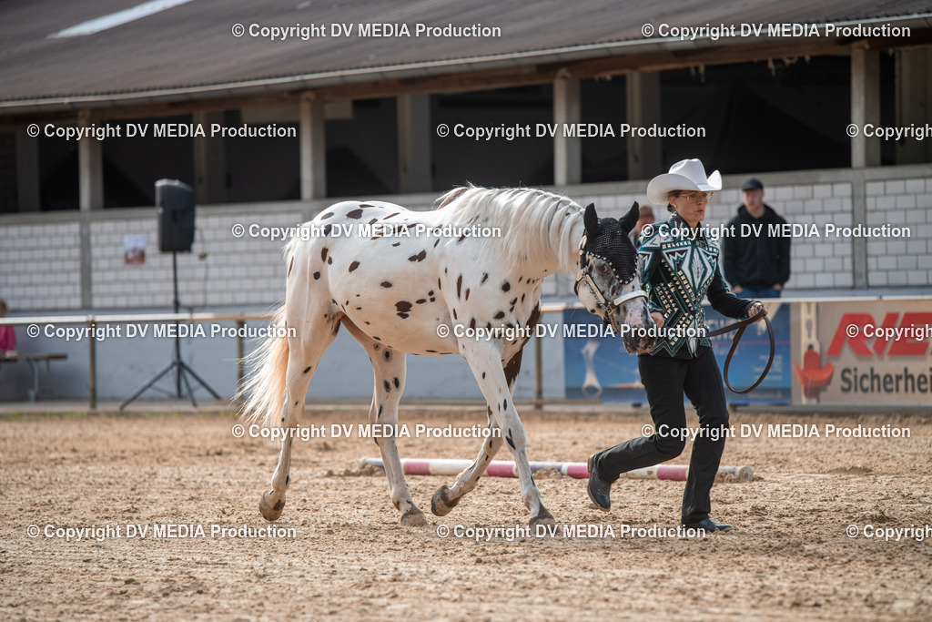 EWP_5586 | dv-media-shop - Realisiert mit Pictrs.com