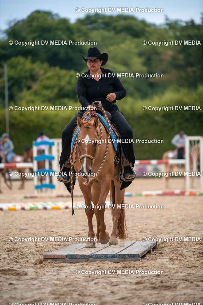 ZS2_8072 | dv-media-shop - Realisiert mit Pictrs.com