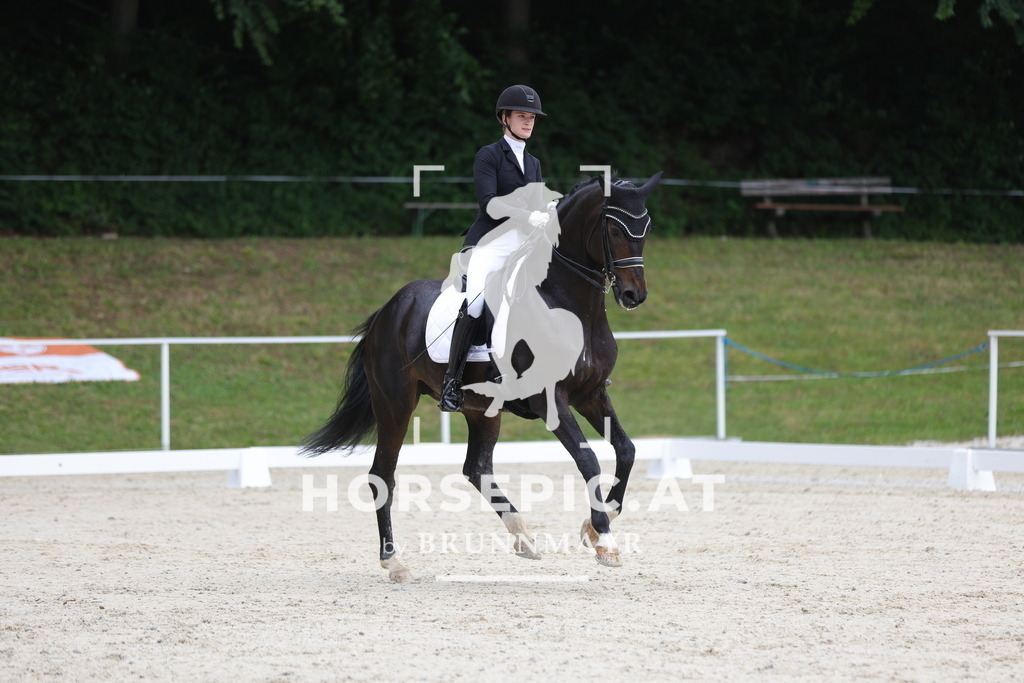 0P6A4533 | Willkommen bei Brunnmayr - Design & Fotografie – Ihrem Spezialisten für Reitturniere und Pferdeveranstaltungen in Oberösterreich, Salzburg und Bayern! Seit über 17 Jahren sind wir leidenschaftlich dabei.