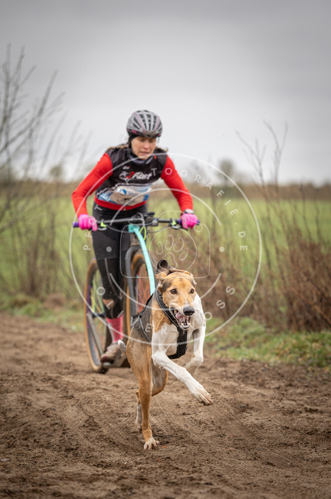 DV3A9152 | Hundefotografie, Tierfotograf, Pfotenfotografie, Fotoshooting Hund, Hunde Portrait, Hundesport, Hundeportraits, Heideshooting, Hunde, Sportfotograf, Hundefotograf, Turnierhundsport, THS,  - Realisiert mit Pictrs.com