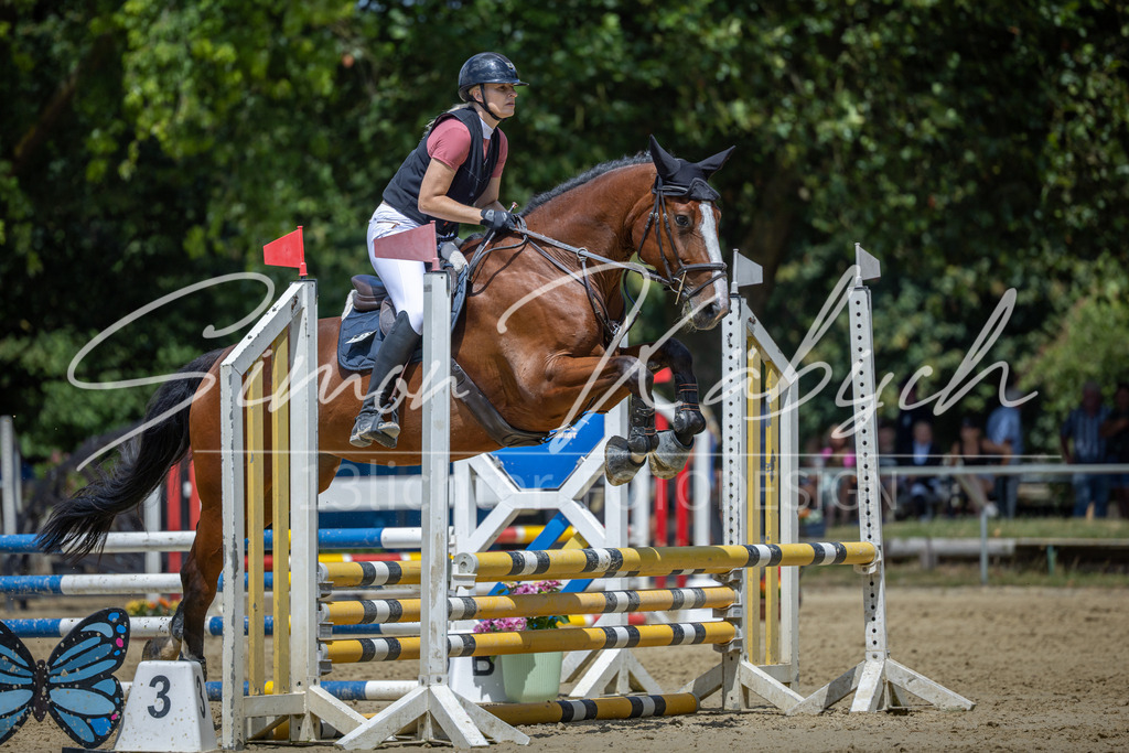20260704-_3LI8684 | Tierfotografie Pferde, Hunde, Katzen, Haustiere.
Turnierfotografie Reitturniere, Reiten, Springreiten, Dressur in Hanau, dem Main-Kinzig-Kreis und dem Rhein-Main- Gebiet um Frankfurt