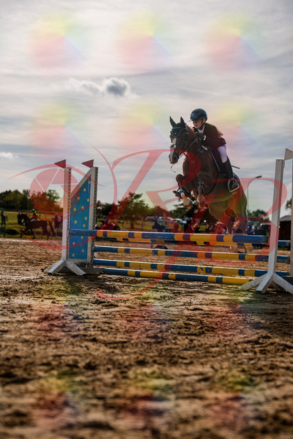 2026_10_03_Siefer-Hof_155745_Z63_10762442 | Professionelle Reitsport-, Turnier- und Eventfotografie von Robert Broda. Galerien mit ausgewählten und bearbeiteten Bildern direkt online ansehen und bestellen.