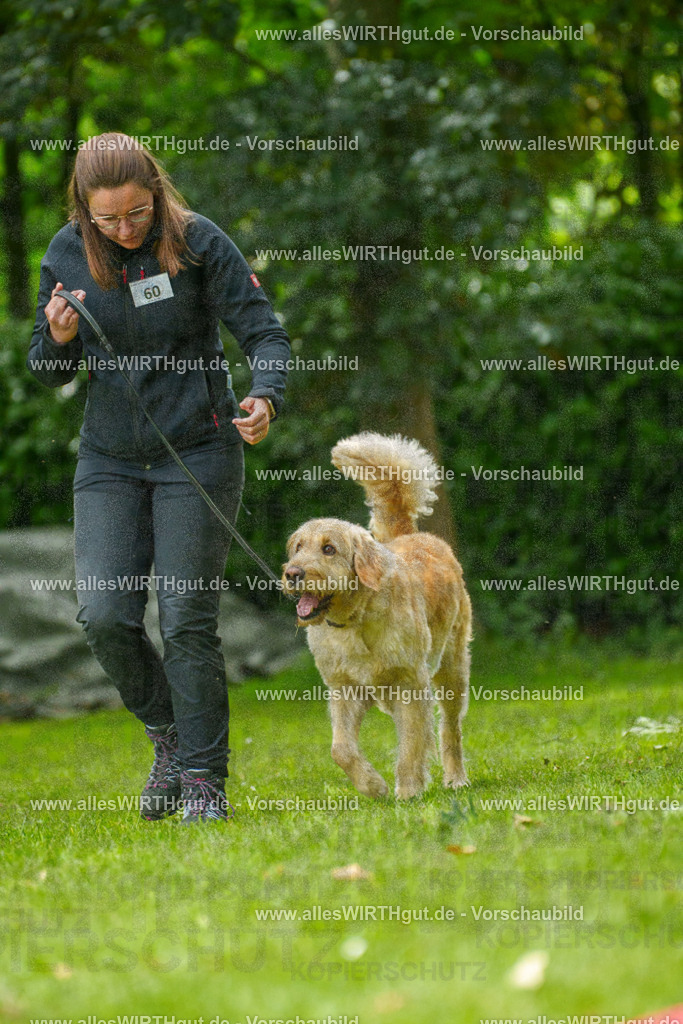@allesWIRTHgut_Tierfotografie - www.allesWIRTHgut.de - 7R501524 | Professionelle Tierfotografie in Mönchengladbach von Daniel Wirth (allesWIRTHgut). Liebevolle & natürliche Bilder von Hunden & Katzen für unvergessliche Erinnerungen.