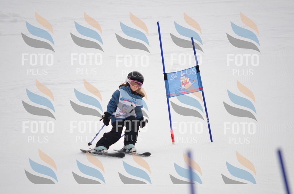 B9968 | holidayphoto