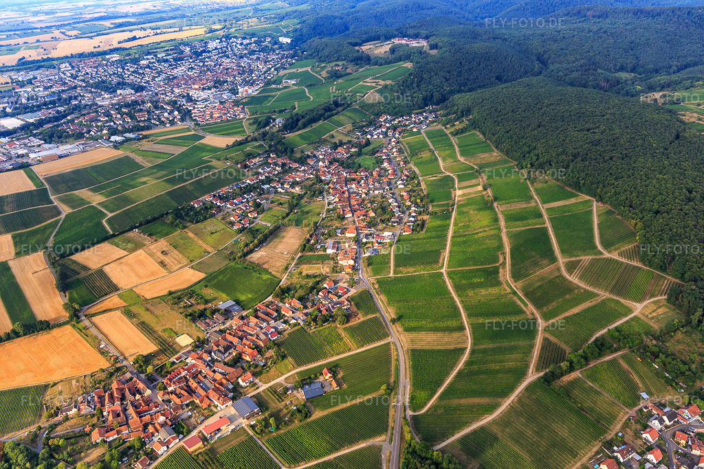 Luftbild: Ortsansicht aus Norden im Ortsteil Pleisweiler in Pleisweiler-Oberhofen im Bundesland Rheinland-Pfalz in Deutschland. Foto: IMG_121913.jpg vom 01.08.2020 durch Werner Riehm/FLY-FOTO.de