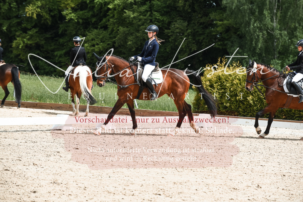 20230518_JK-Röhrsdorf-11-0121 | Pferde- und Turnierfotografie in Westsachsen. Pferdeportraits, Auftragszeichnungen und intuitive Kunst.