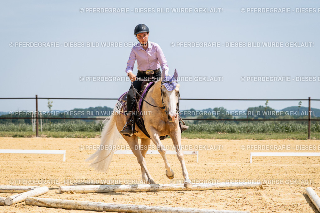 DSC01167 | Pferdegrafie