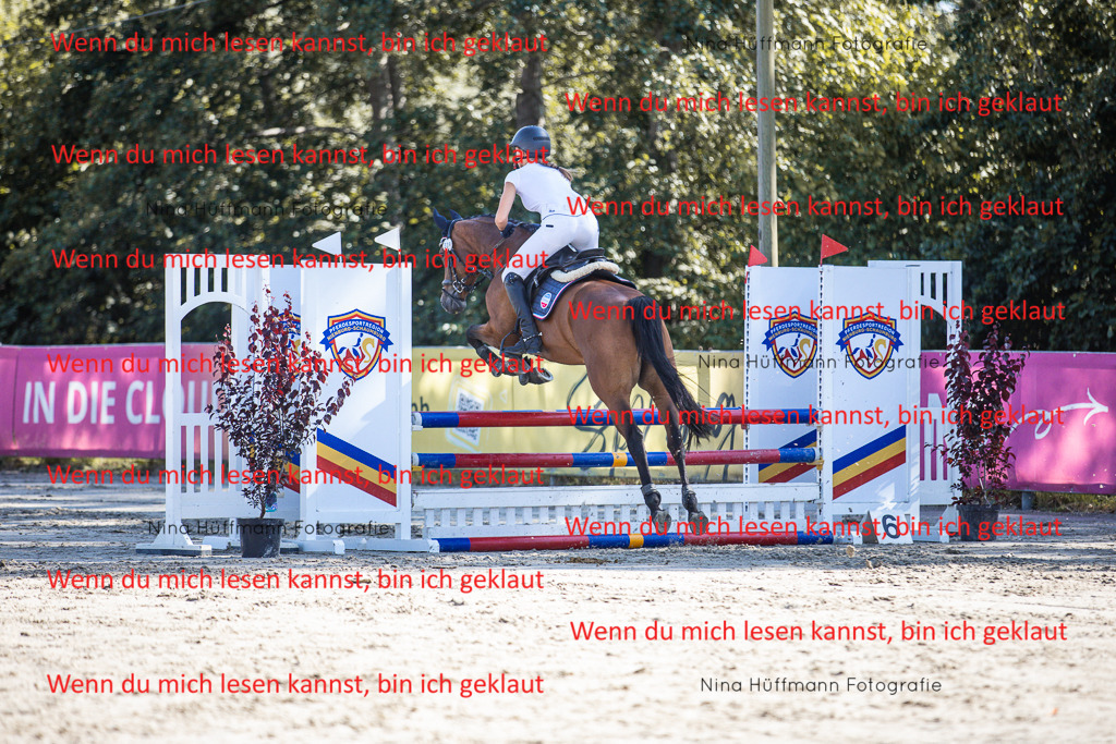 BK1A7157 | Turnierbilder Turnierfotos Nina Hüffmann Turnierfotografie Pferdefotografie Tierzeichnung Haustierzeichnung Pferdezeichnung Hundezeichnung Videograf  - Realisiert mit Pictrs.com