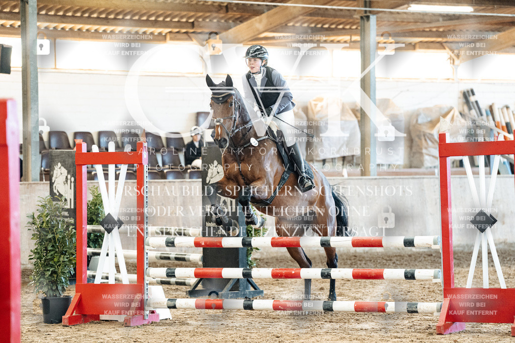 CK904650 | Turnierfotografie Pferdefotografie Trier Rheinland-Pfalz Pferdesport Reitsport Tierfotografie Sportfotografie Pferdevideo Pferdevideografie Equestrianvideography equestrianphotography  - Realized with Pictrs.com