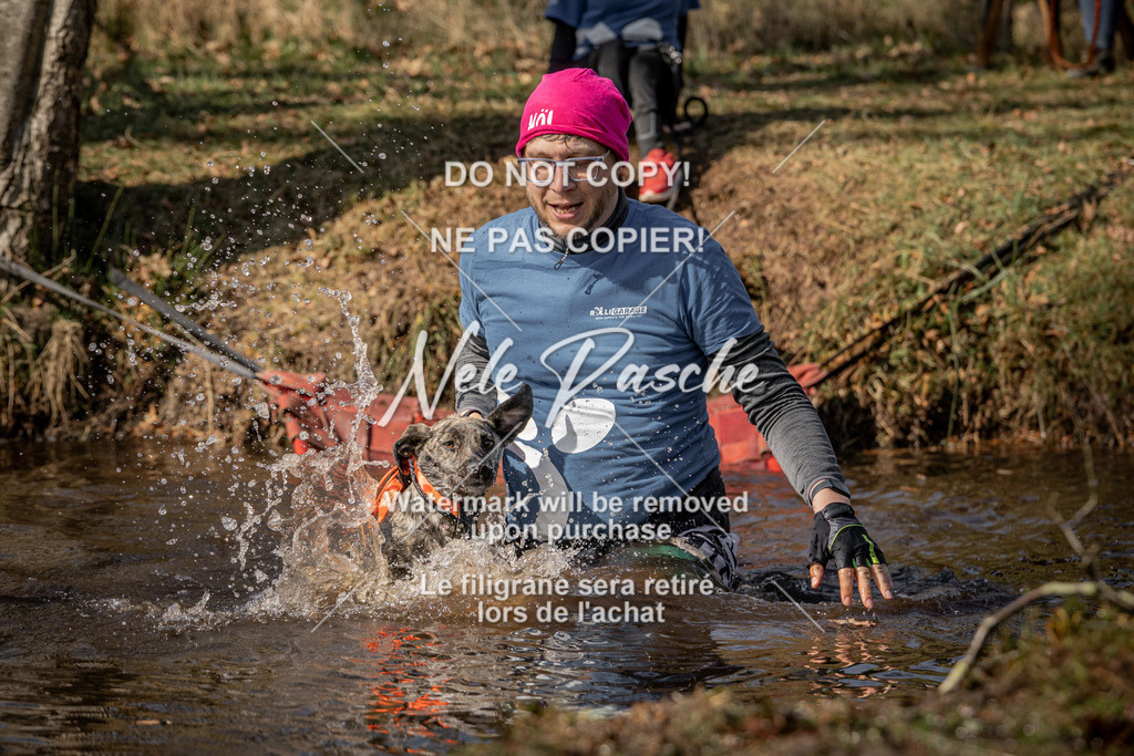 nelerasche_FS1330-1400_21 | nelerasche