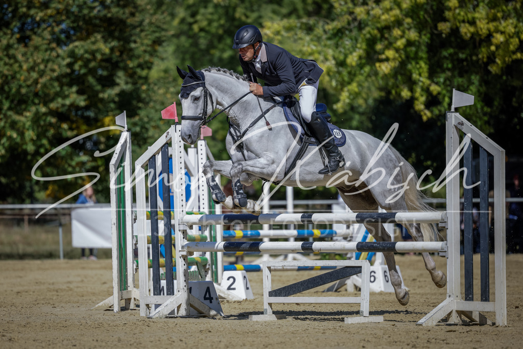 20250906-_3LI3969 | Tierfotografie Pferde, Hunde, Katzen, Haustiere.
Turnierfotografie Reitturniere, Reiten, Springreiten, Dressur in Hanau, dem Main-Kinzig-Kreis und dem Rhein-Main- Gebiet um Frankfurt
