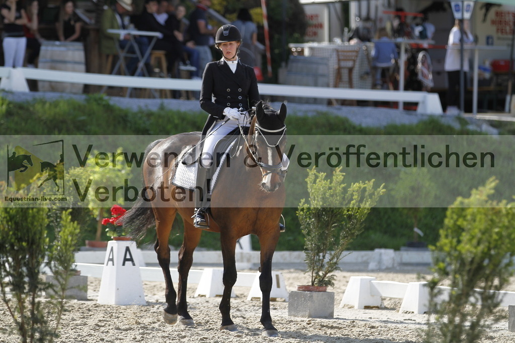 _MG_5890 | equestrian-live-com