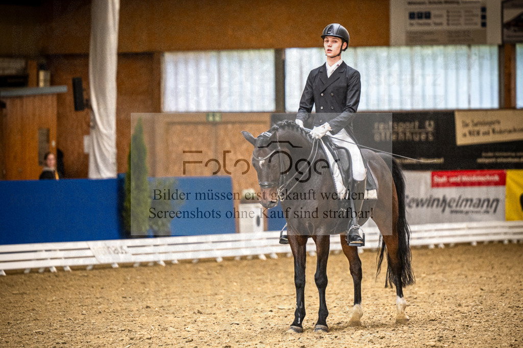 DOS_0731 | Entdecke hochwertige Reitturnierfotos von Foto Oger. Professionell, emotional und authentisch – jetzt Lieblingsmomente im Shop bestellen.Deutschlandweite Turnierfotografie. - Realisiert mit Pictrs.com