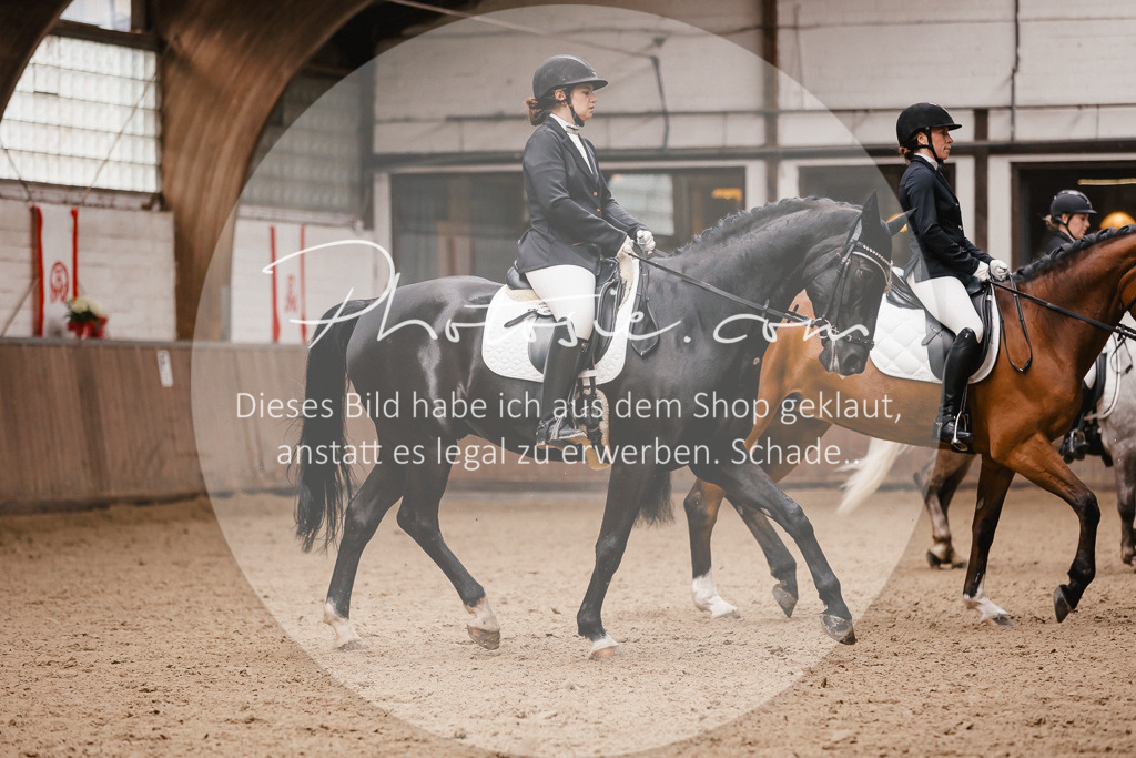 3I6A7425 | Stimmungsvolle Portraits und Reitsportfotografie im Ruhrgebiet und im Münsterland.

Pferdefotografie, Hundefotografie, Tierfotografie, Reportagen, Portraits von Tier und Mensch, Turnierfotografie in Bochum, Recklinghausen, Marl, Haltern am See, Dülmen.. - Realisiert mit Pictrs.com