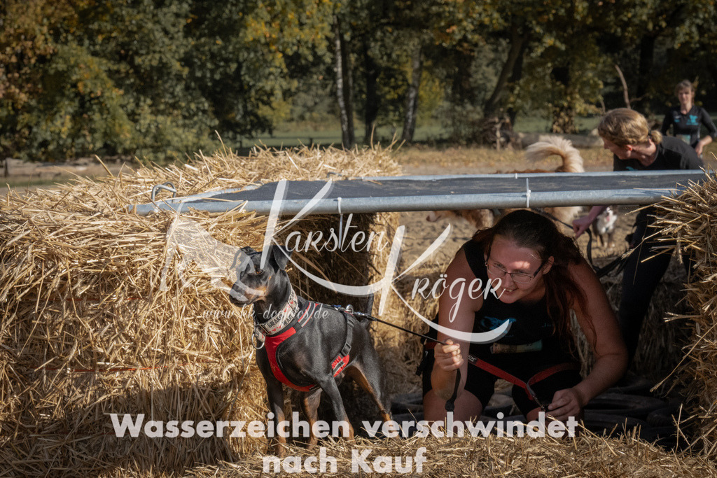 1124_ZZ91508 | kk-dogfotos