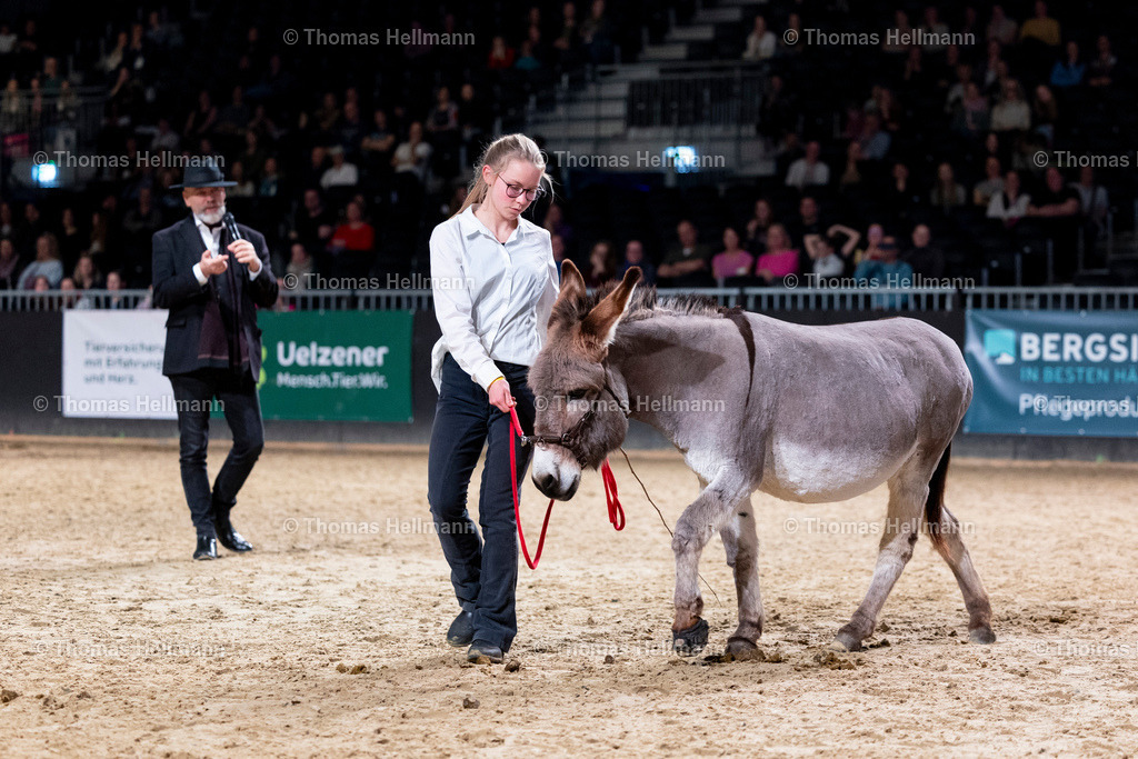 TH_Marius Schneider_ Bent Branderup_ Ute Anhang_26957 | EQUITANA 2025 am 09.03.25 in Essen