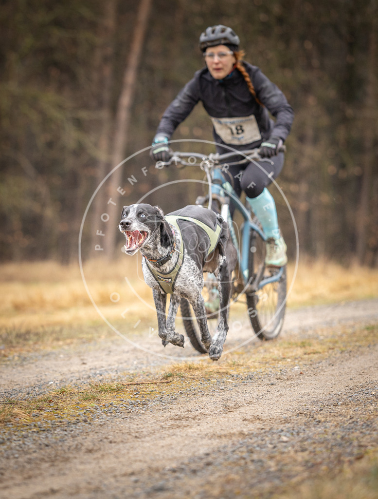 DV3A3217 | Hundefotografie, Tierfotograf, Pfotenfotografie, Fotoshooting Hund, Hunde Portrait, Hundesport, Hundeportraits, Heideshooting, Hunde, Sportfotograf, Hundefotograf, Turnierhundsport, THS,  - Realisiert mit Pictrs.com