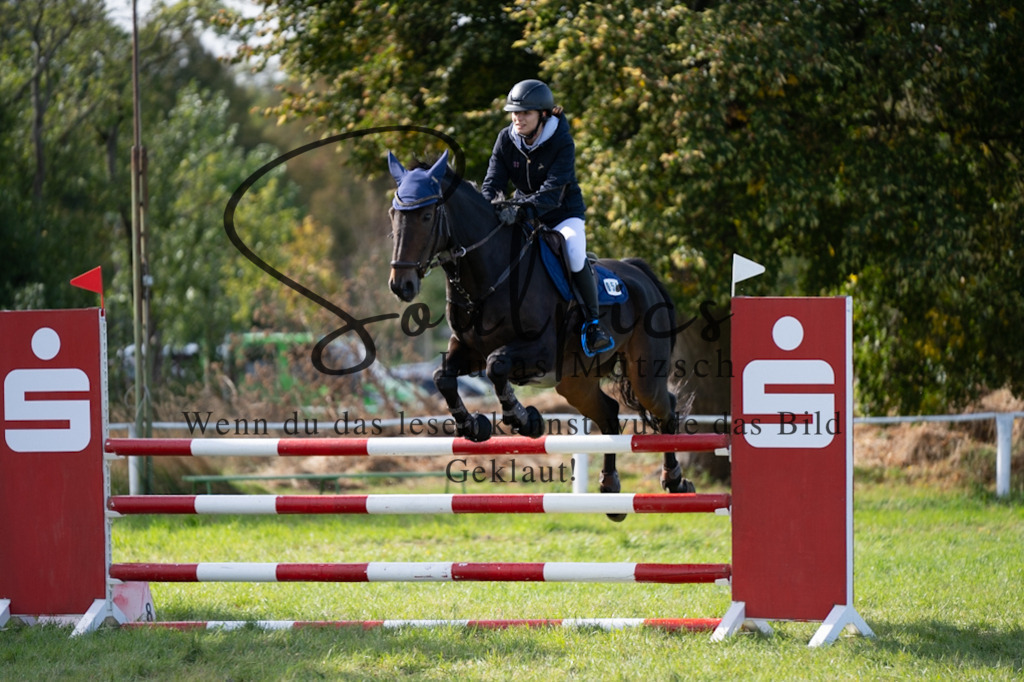 A7V06967 | Pferdefotograf