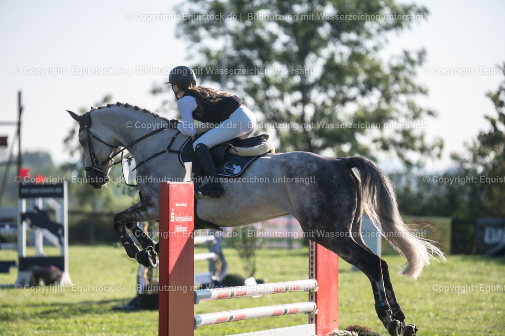 20230908_14-15_Springpferde-A_0001 | equistock