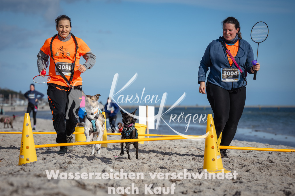 1339_ZZ92422 | kk-dogfotos