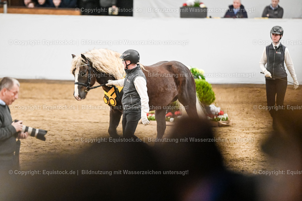 20260307_Hengstvorstellung-Marbach_0260 | equistock