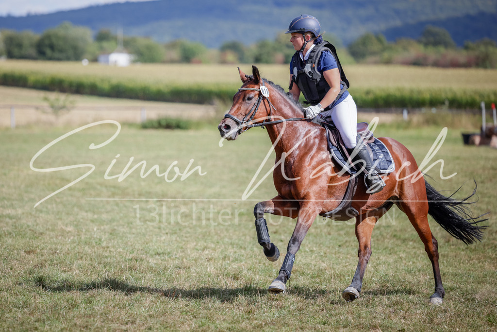 20250906-_3LI6727 | Tierfotografie Pferde, Hunde, Katzen, Haustiere.
Turnierfotografie Reitturniere, Reiten, Springreiten, Dressur in Hanau, dem Main-Kinzig-Kreis und dem Rhein-Main- Gebiet um Frankfurt