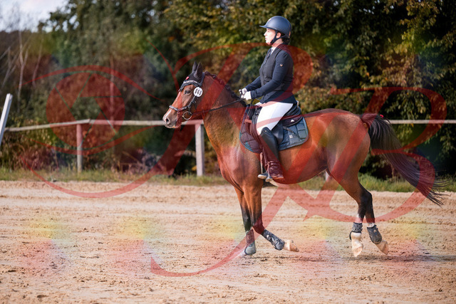 2026_10_03_Siefer-Hof_145724_Z81_39015978 | Professionelle Reitsport-, Turnier- und Eventfotografie von Robert Broda. Galerien mit ausgewählten und bearbeiteten Bildern direkt online ansehen und bestellen.