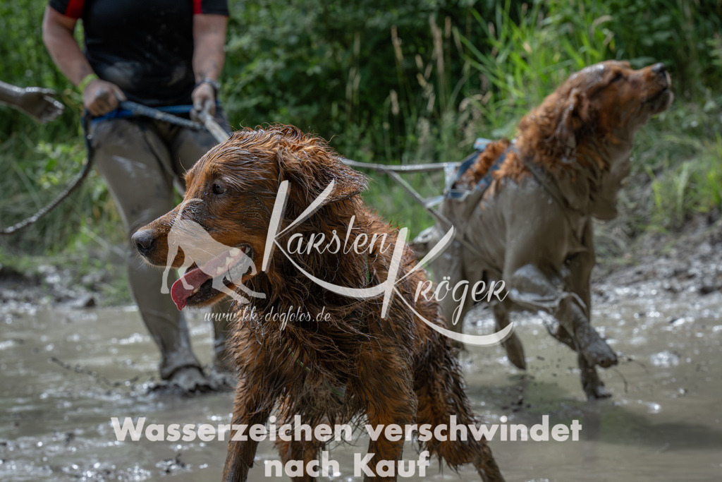 1403_ZZ90750-Verbessert-RR | kk-dogfotos