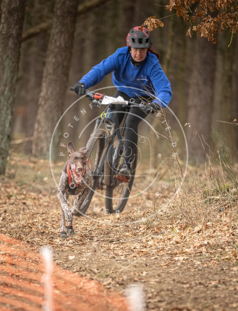 Pfotenfotografie_DV3A3276 | Hundefotografie, Tierfotograf, Pfotenfotografie, Fotoshooting Hund, Hunde Portrait, Hundesport, Hundeportraits, Heideshooting, Hunde, Sportfotograf, Hundefotograf, Turnierhundsport, THS,  - Realisiert mit Pictrs.com