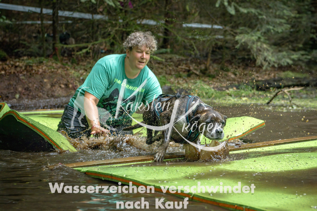 1515_ZZ94988-Bearbeitet | kk-dogfotos