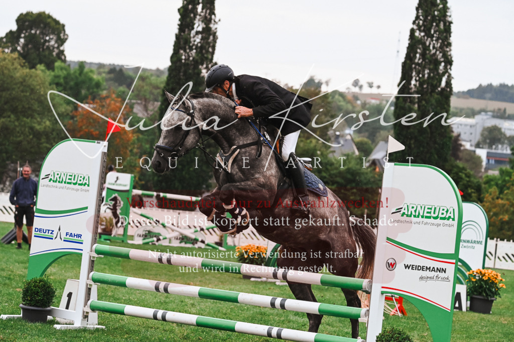 DSC_6543 | Pferde- und Turnierfotografie in Westsachsen. Pferdeportraits, Auftragszeichnungen und intuitive Kunst.