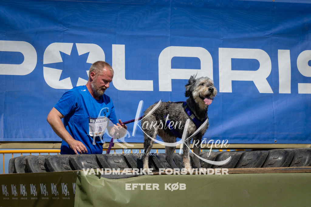 1353_ZZ99530 | kk-dogfotos