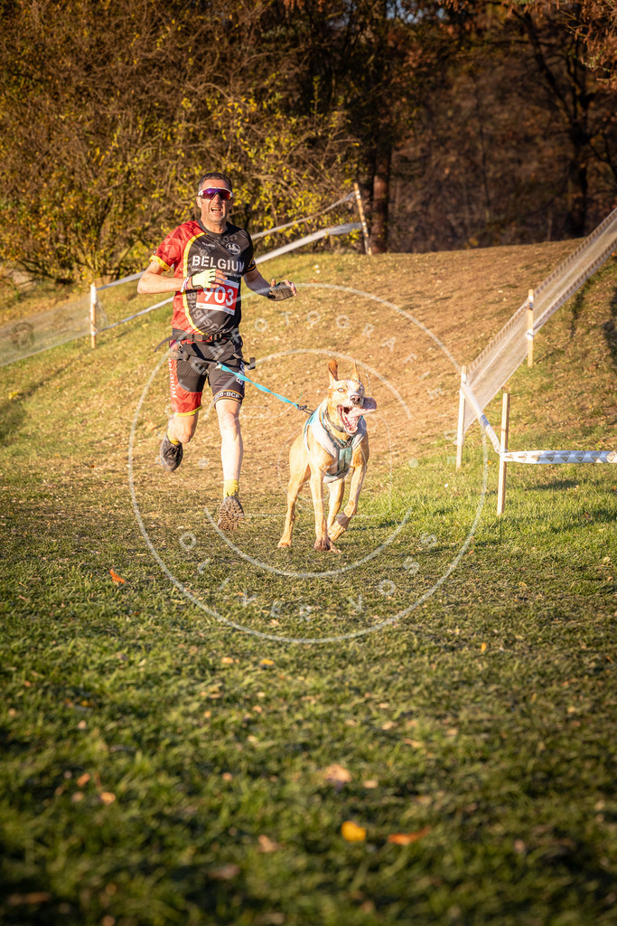 CaniXpix_0L8A1371 | Hundefotografie, Tierfotograf, Pfotenfotografie, Fotoshooting Hund, Hunde Portrait, Hundesport, Hundeportraits, Heideshooting, Hunde, Sportfotograf, Hundefotograf, Turnierhundsport, THS,  - Realisiert mit Pictrs.com