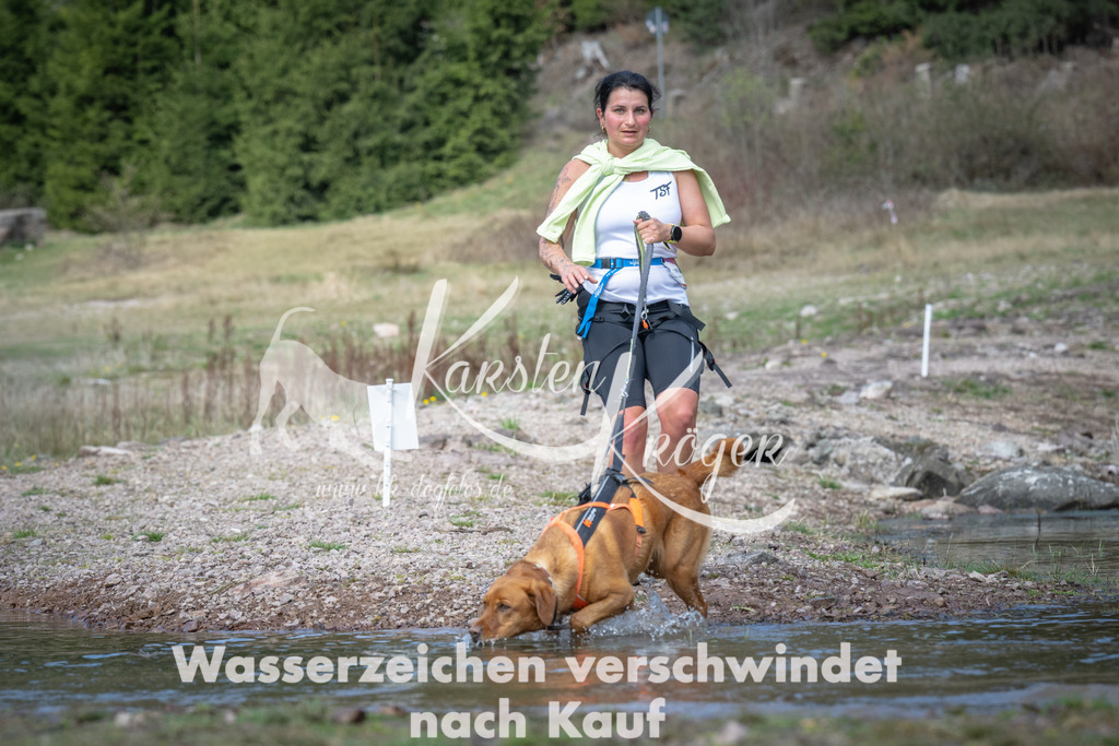 1100_ZZ92613 | kk-dogfotos