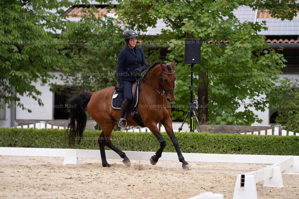 WS_DR_24_sinafilmart_IN01667 | working equitationturnier fotograf videograf stoibphotography marixx film working equitation deutschland reitsport turnierfotografie eventfotografie equestrian events