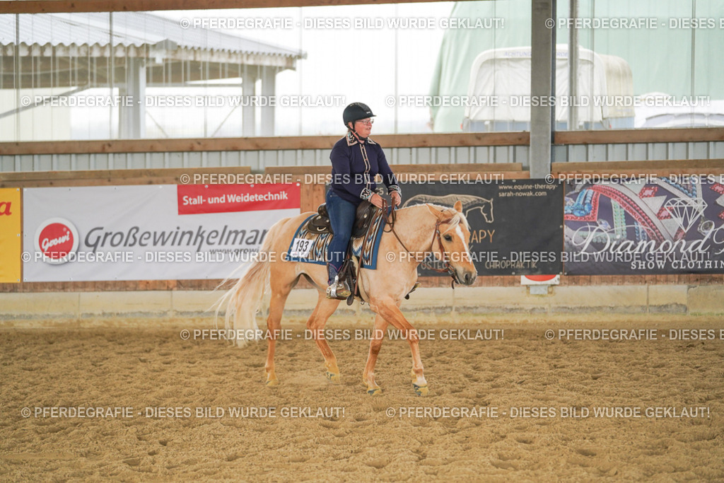 DSC06381 | Pferdegrafie