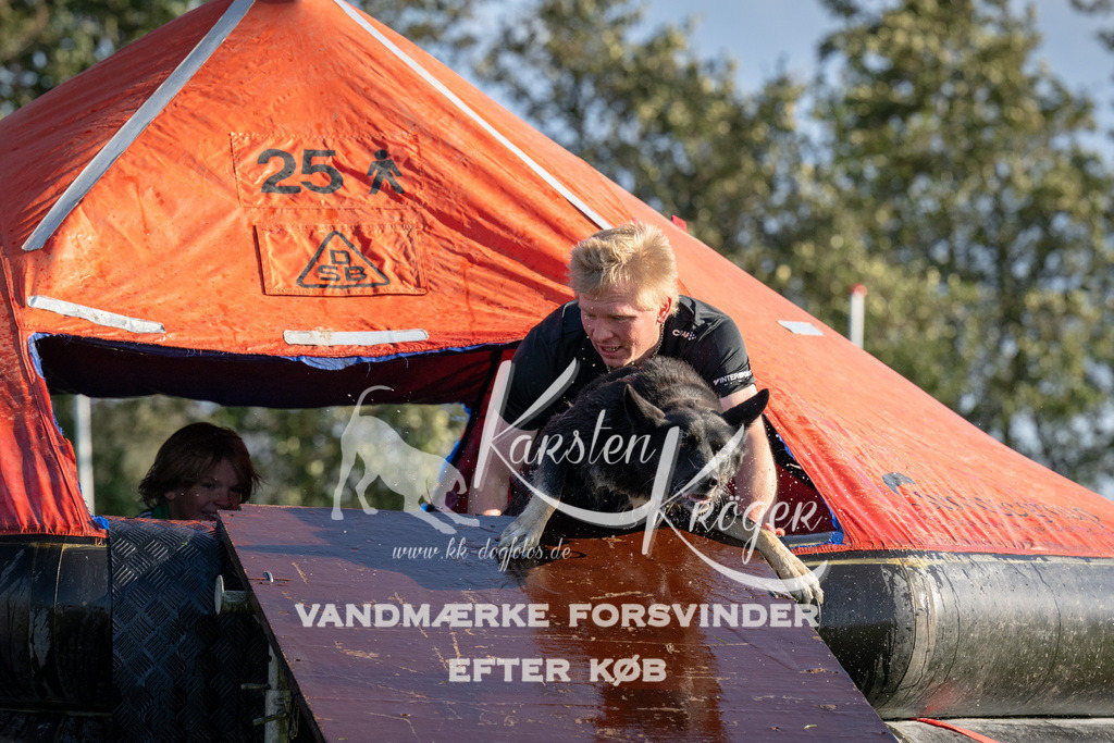 1451-90169 | kk-dogfotos