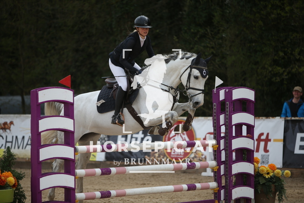 PP017750 | Willkommen bei Brunnmayr - Design & Fotografie – Ihrem Spezialisten für Reitturniere und Pferdeveranstaltungen in Oberösterreich, Salzburg und Bayern! Seit über 17 Jahren sind wir leidenschaftlich dabei.