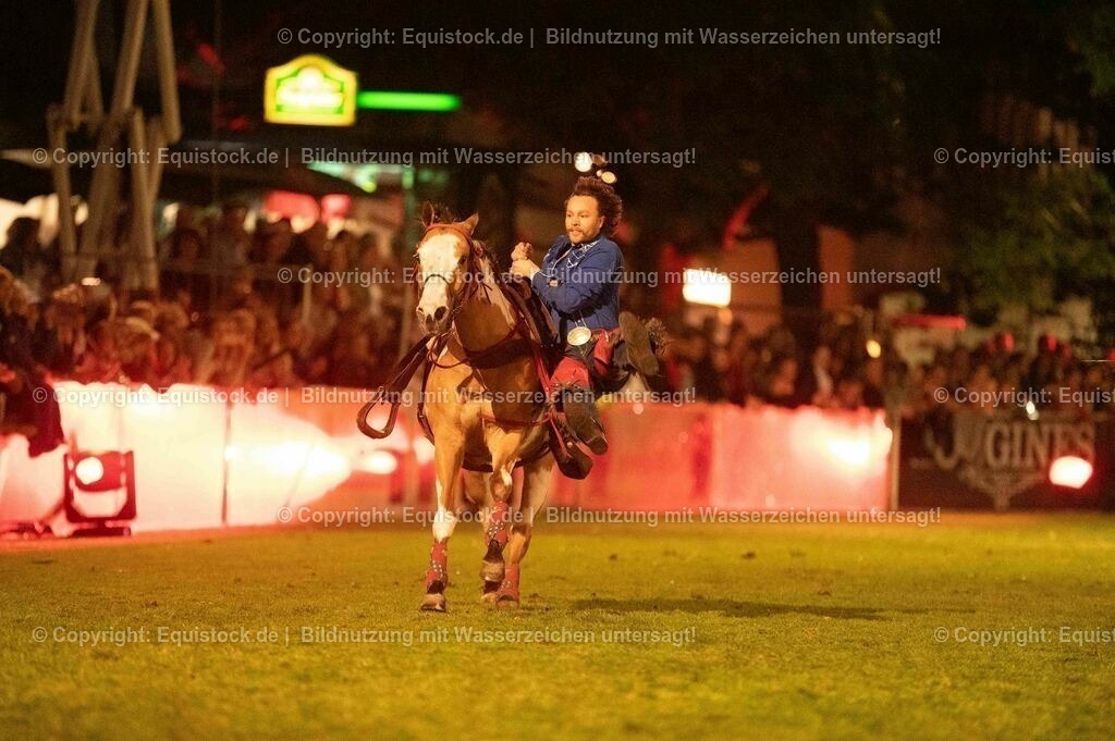 20230526_Pferdenacht_1251 | equistock