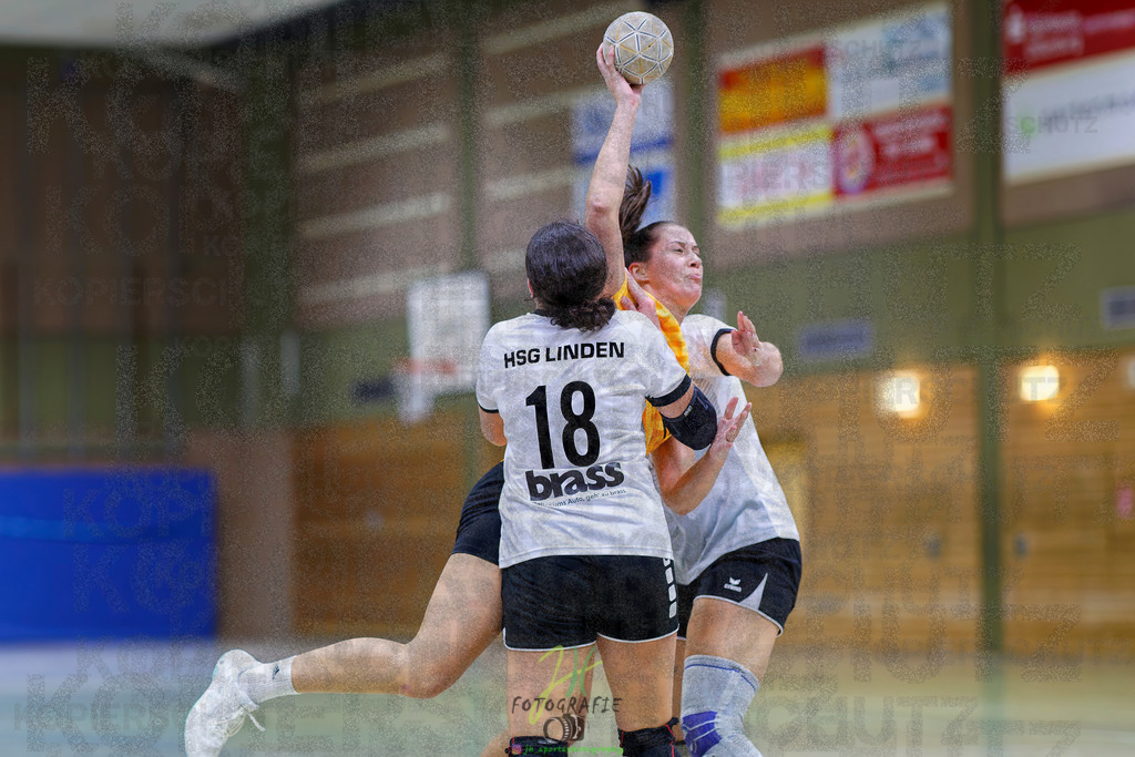 Frauen Oberliga Mitte (HHV); HSG Eibelshausen/Ewersbach - HSG Linden | Frauen Oberliga Mitte (HHV); HSG Eibelshausen/Ewersbach - HSG Linden am 15.11.2025 in Eibelshausen (Holderberghalle)Photo © 2025 - Jörg Heinrich - Realisiert mit Pictrs.com