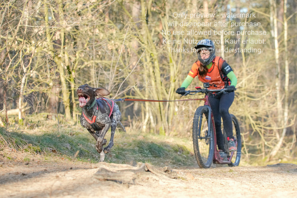 Sa_Scooter-102 | stephaniefillaphotographie - Realisiert mit Pictrs.com