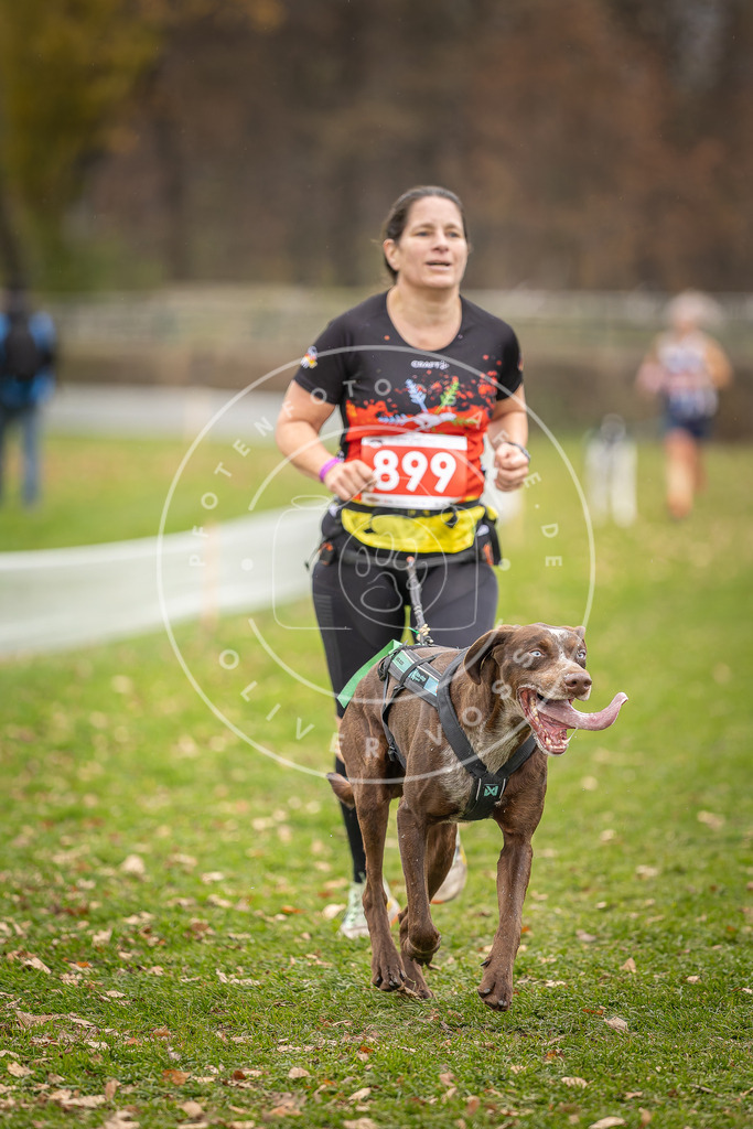 CaniXpix_DV3A6921 | Hundefotografie, Tierfotograf, Pfotenfotografie, Fotoshooting Hund, Hunde Portrait, Hundesport, Hundeportraits, Heideshooting, Hunde, Sportfotograf, Hundefotograf, Turnierhundsport, THS,  - Realisiert mit Pictrs.com