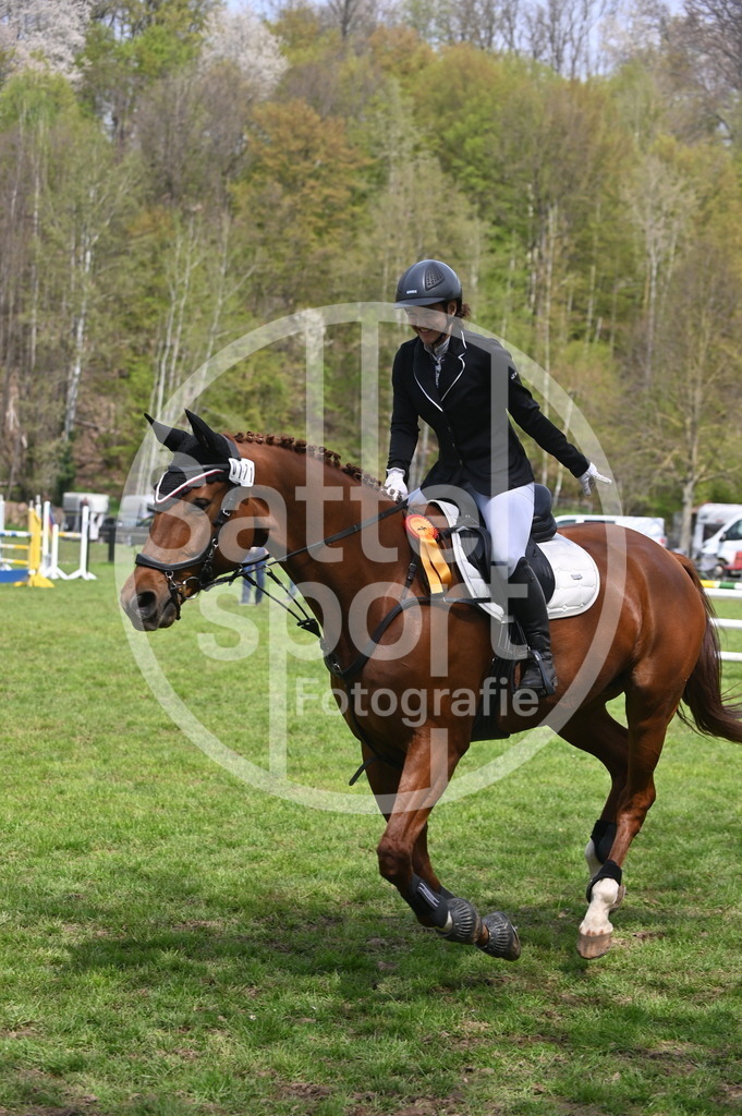 DSC_1961 | sattelsport - Realisiert mit Pictrs.com