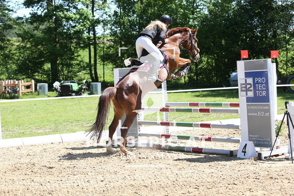 DL2Q1010 | Willkommen bei Brunnmayr - Design & Fotografie – Ihrem Spezialisten für Reitturniere und Pferdeveranstaltungen in Oberösterreich, Salzburg und Bayern! Seit über 17 Jahren sind wir leidenschaftlich dabei.