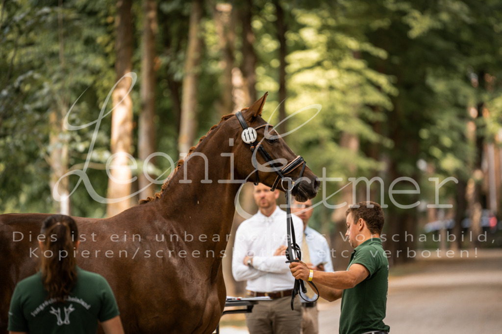 FrPfM00126 | Leoni Ertmer Photography - Realisiert mit Pictrs.com