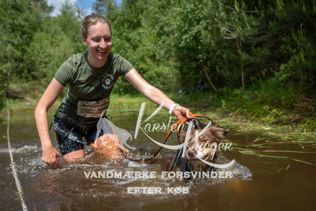 1219DKK992594 | kk-dogfotos