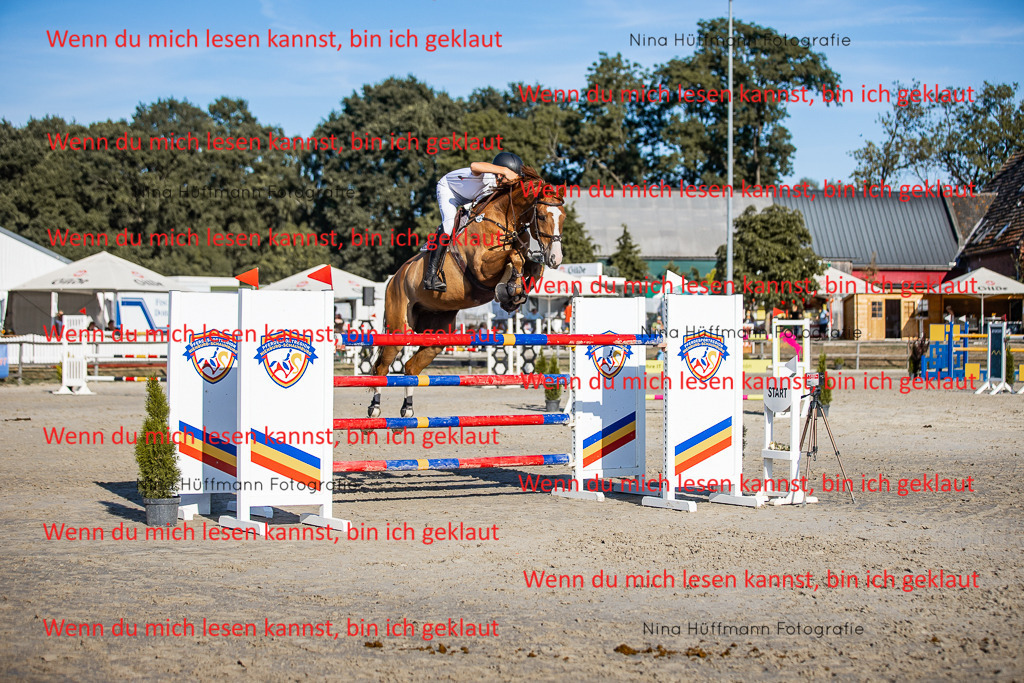 BK1A8708 | Turnierbilder Turnierfotos Nina Hüffmann Turnierfotografie Pferdefotografie Tierzeichnung Haustierzeichnung Pferdezeichnung Hundezeichnung Videograf  - Realisiert mit Pictrs.com