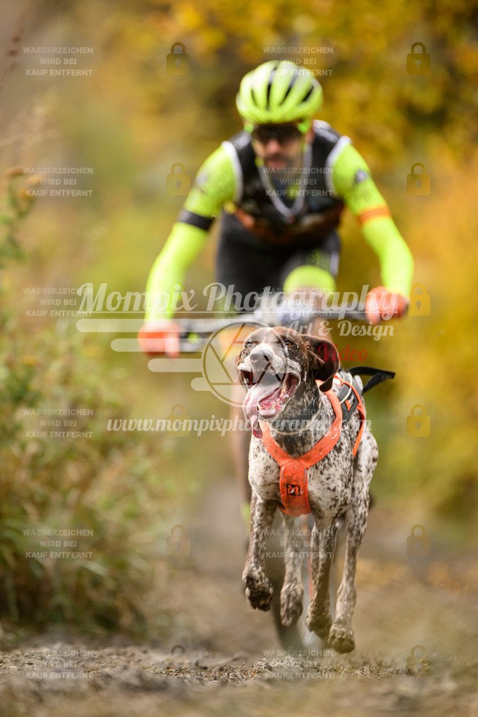 MompixPhotography_ICF_WC_2024_SA_Bike_-175 | PayLife